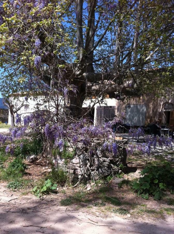 Domaine De Camp Joyeux Daire Puget-Ville Dış mekan fotoğraf