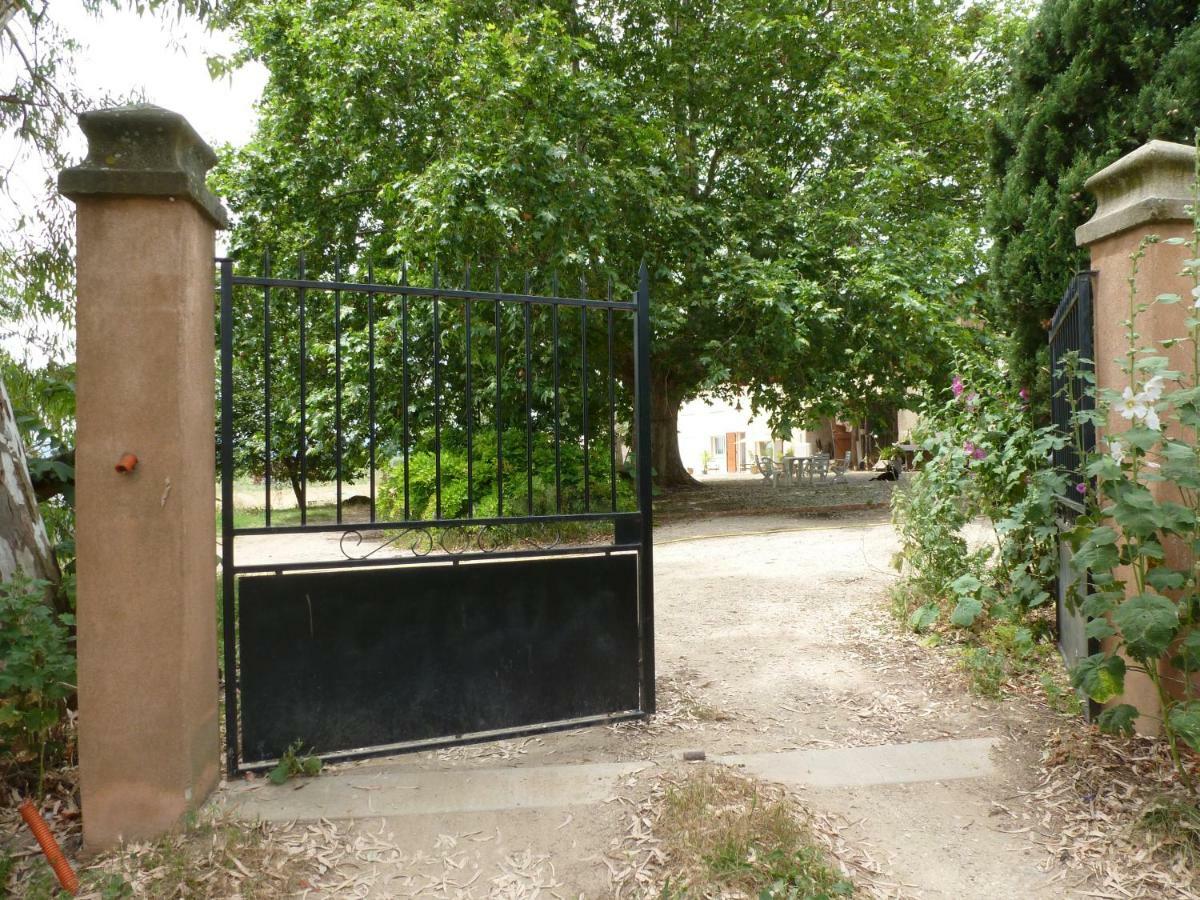 Domaine De Camp Joyeux Daire Puget-Ville Dış mekan fotoğraf