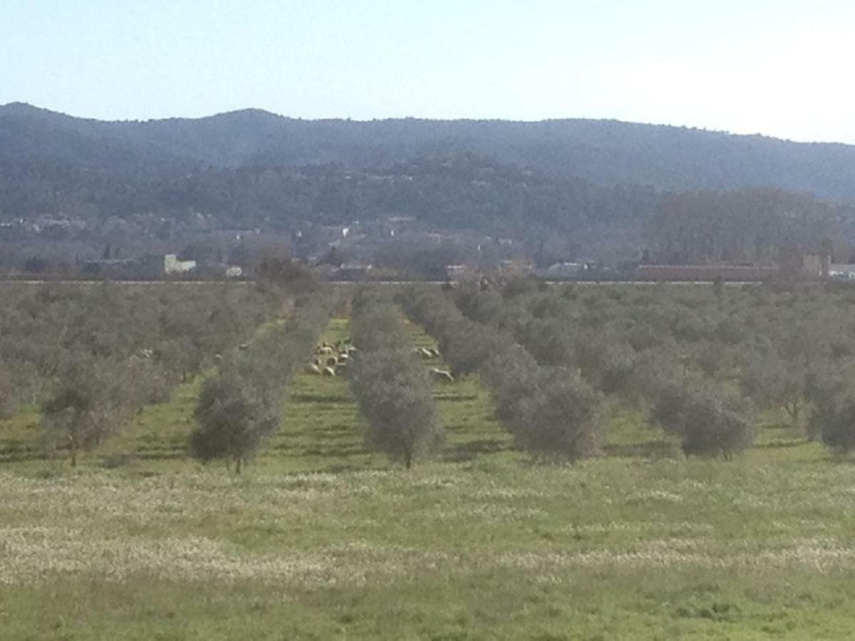 Domaine De Camp Joyeux Daire Puget-Ville Dış mekan fotoğraf