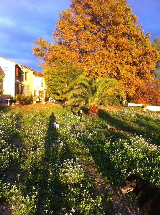 Domaine De Camp Joyeux Daire Puget-Ville Dış mekan fotoğraf