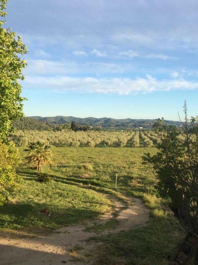 Domaine De Camp Joyeux Daire Puget-Ville Dış mekan fotoğraf