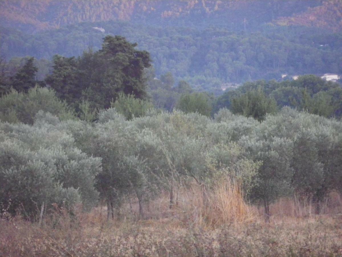 Domaine De Camp Joyeux Daire Puget-Ville Dış mekan fotoğraf