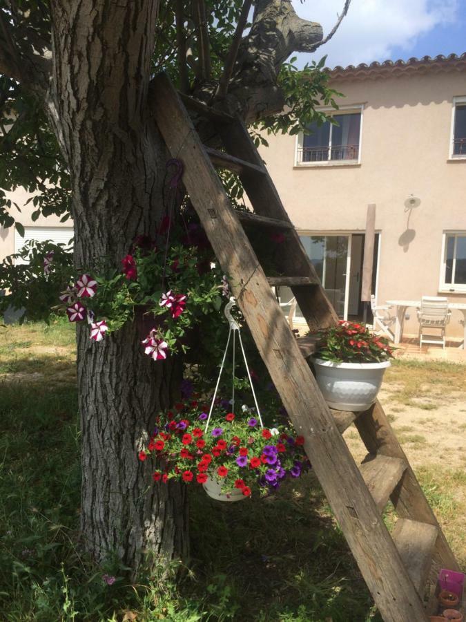 Domaine De Camp Joyeux Daire Puget-Ville Dış mekan fotoğraf