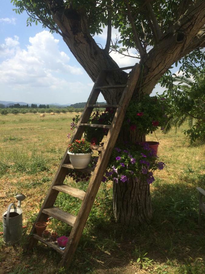 Domaine De Camp Joyeux Daire Puget-Ville Dış mekan fotoğraf