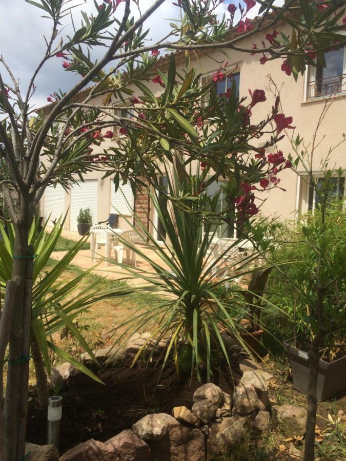 Domaine De Camp Joyeux Daire Puget-Ville Dış mekan fotoğraf
